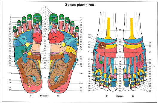 reflexologie plantaire corinne gouvet